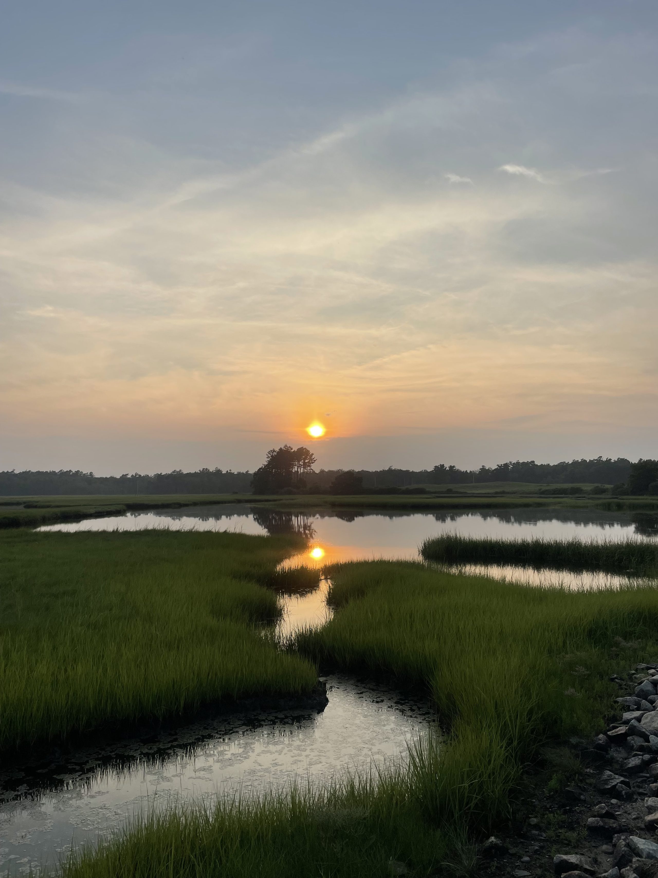 A sunset over a marsh with lush vegetation and placid water.