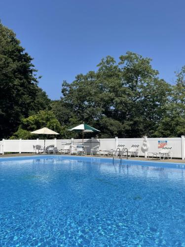 A vibrant blue pool with white fence, umbrellas, pool chairs, and trees in the background. 