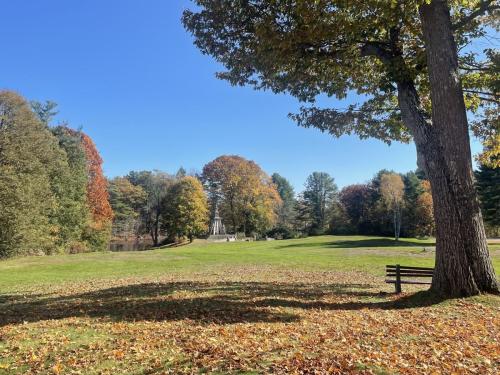 A green lawn covered in fallen leaves with a forest and monument in the background. 
